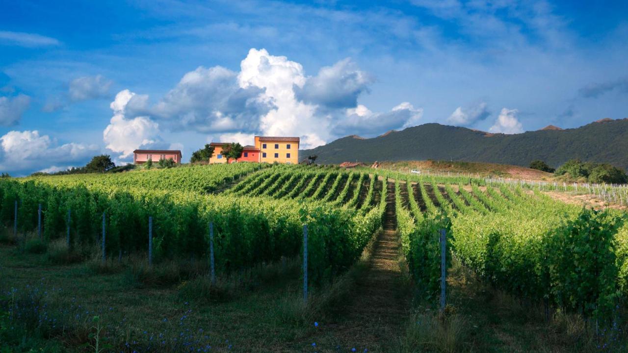 Tenuta Grimaldi Wine Resort Matelica Exterior foto